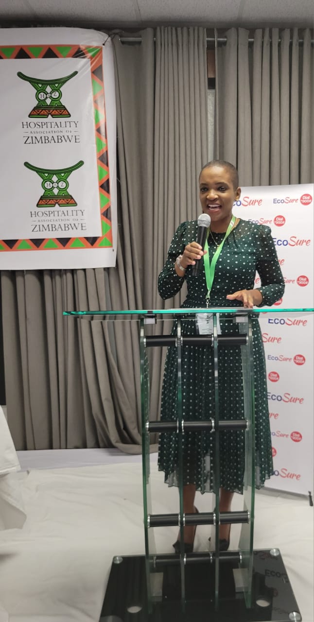 Tourism investments decline by 55%: Rwodzi - Gemnation